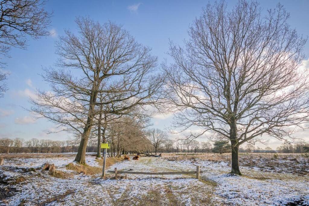 Вілла Leva - Logeren In Drenthe Doldersum Екстер'єр фото