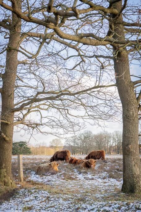 Вілла Leva - Logeren In Drenthe Doldersum Екстер'єр фото