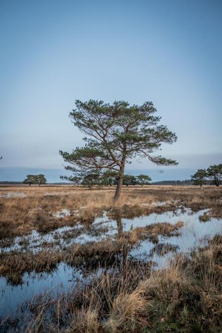 Вілла Leva - Logeren In Drenthe Doldersum Екстер'єр фото