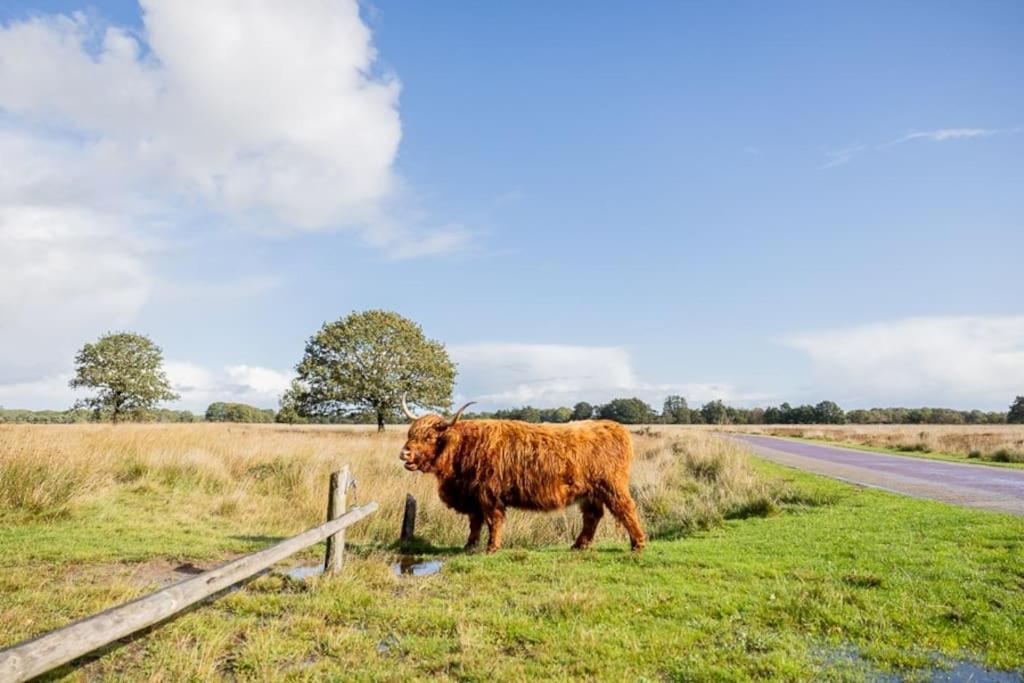 Вілла Leva - Logeren In Drenthe Doldersum Екстер'єр фото